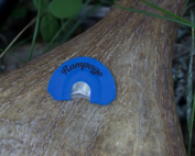Rockies Rampage Diaphragm