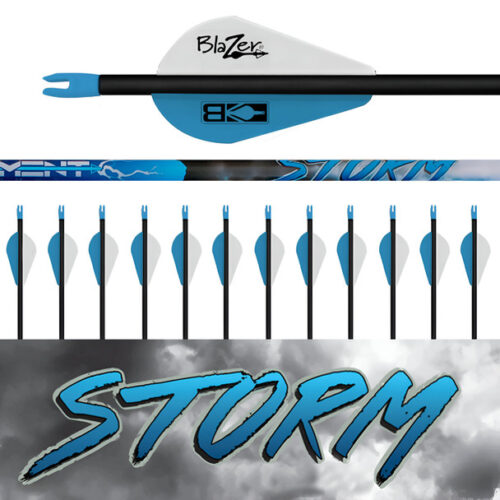 Storm Arrows 12 Pk. - Fletched (.001 straightness)